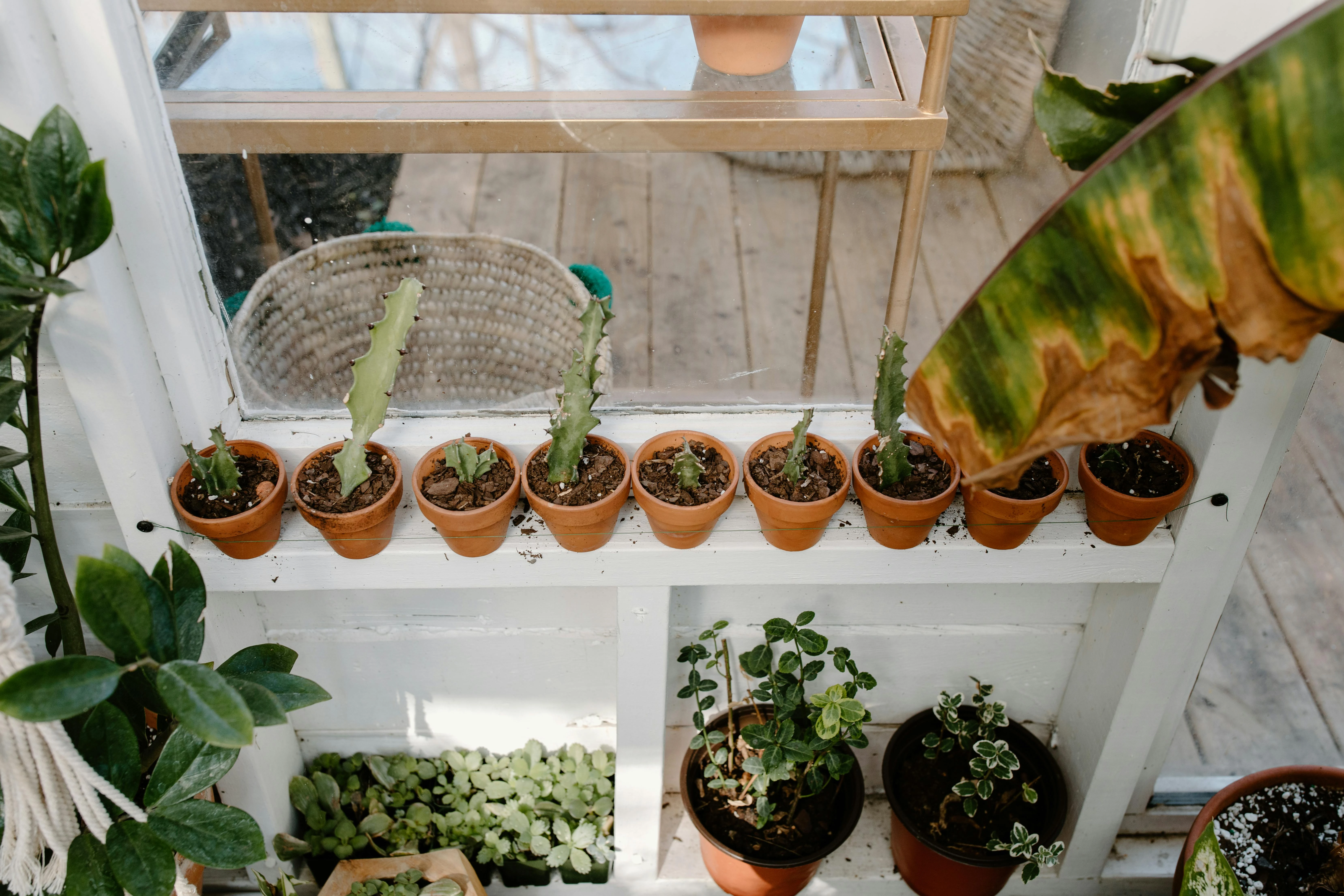 Image for What does sustainable gardening mean and why is it important?
