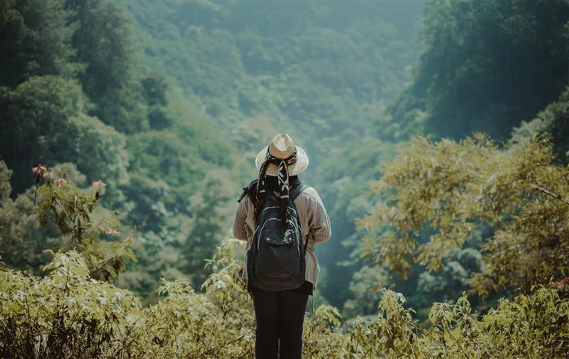 Image for What are some best practices for eco-tourism? How can we travel responsibly and sustainably?
