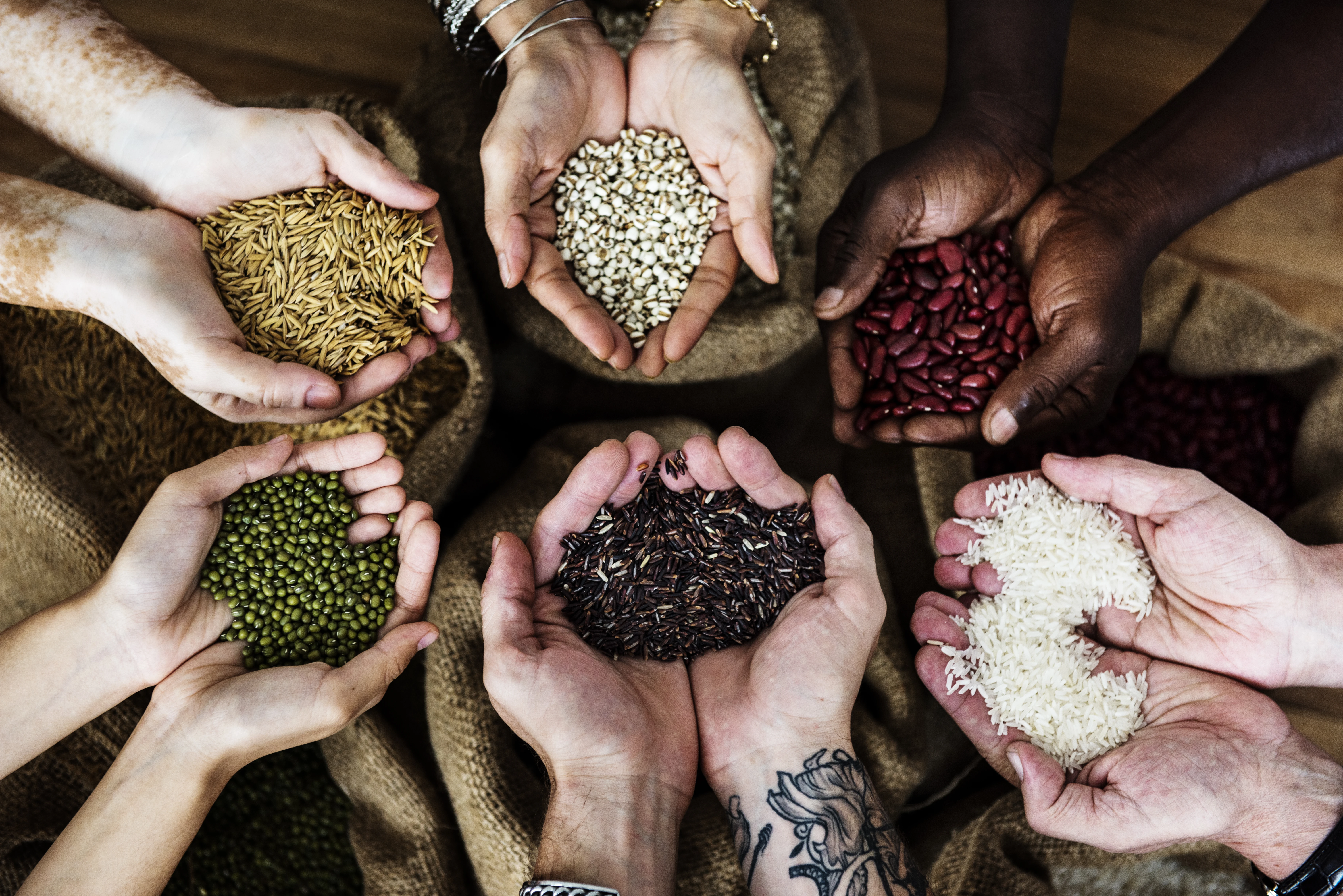 Image for what does fair trade certified mean? 