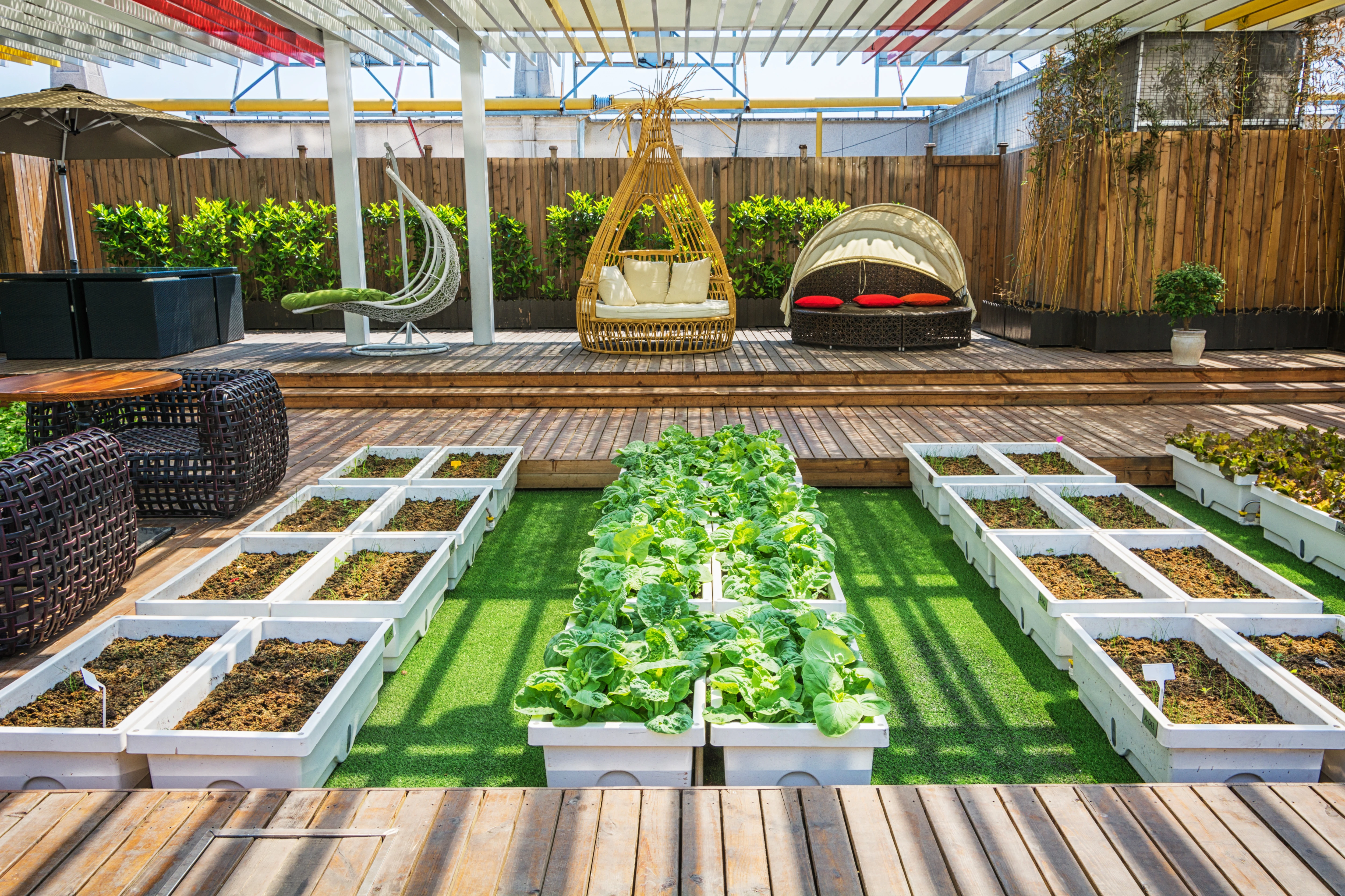 Image for Are rooftop gardens sustainable ?