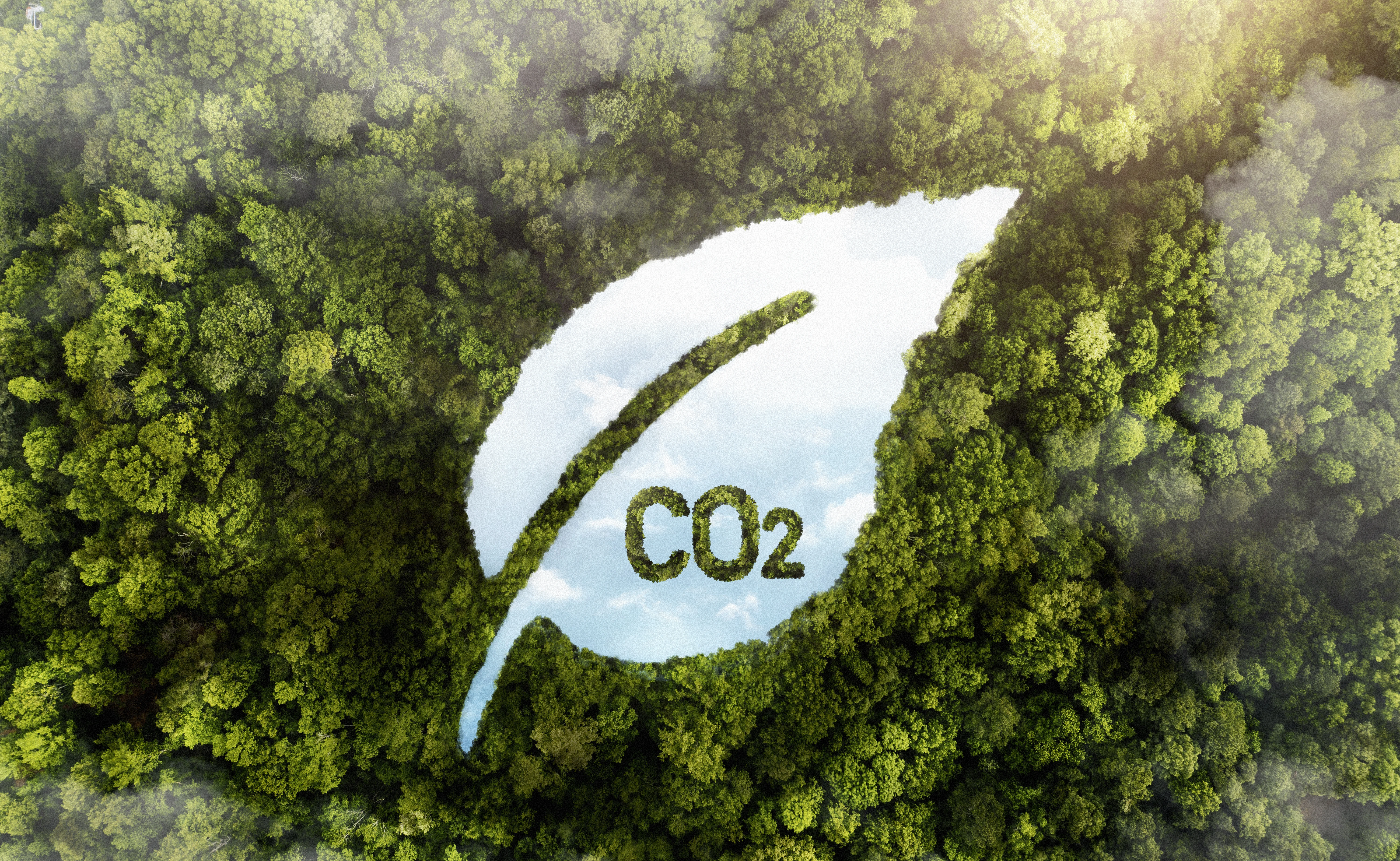 Image for What is Carbon Footprint? Why It Matters?