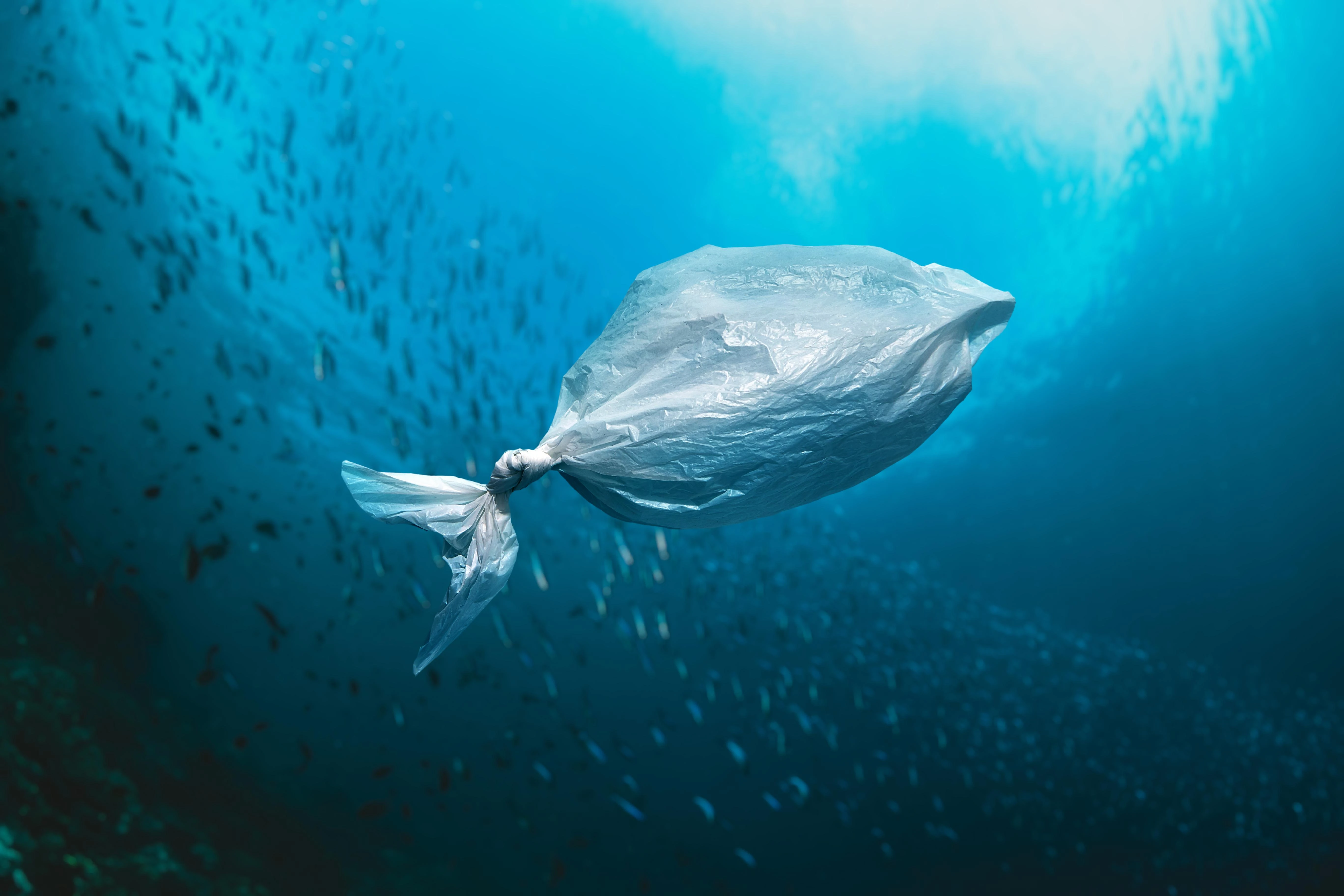 Image for What Will Happen If We Don’t Stop Plastic Pollution in the Ocean?